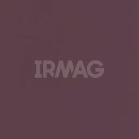 Тушь для ресниц Relouis Gold Цветная (10 мл)