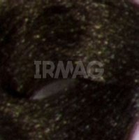 Крем-краска Kapous Professional Non Ammonia Magic Keratin (100 мл)