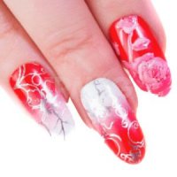 Пластина для стемпинга Формула Профи (10х15 см)