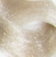 Крем-краска Kapous Professional Non Ammonia Magic Keratin (100 мл)