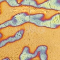 Фольга переводная Формула Профи (6х12 см)