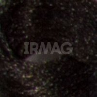 Крем-краска Kapous Professional Non Ammonia Magic Keratin (100 мл)