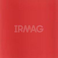 Губная помада Pupa Milano I'm Lipstick (3,5 г)