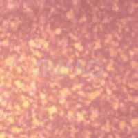 Блеск для губ Vivienne Sabo Brillance Hypnotique с 3D эффектом (3 мл)