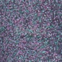 Гель-лак для ногтей Формула Профи uv/led Принцесса Египта (5 мл)