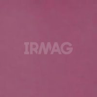 Помада для губ Vivienne Sabo Matte Constance жидкая матовая (3 мл)