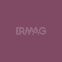 Лак для ногтей Bell Fashion Colour Nail Polish Гипоаллергенный (11 г)