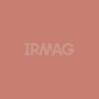 Блеск для губ Levrana (10 мл)