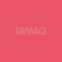 Лак для ногтей Bell Hypoallergenic Long Lasting Nail Enamel Гипоаллергенный (9,5 г)