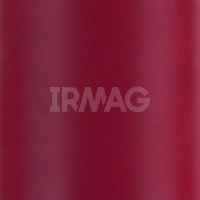 Помада для губ Relouis Premium Gold (3,8 г)