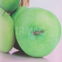 Освежитель воздуха Gold Mint 2в1 (300 мл)