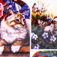 Слайдер-дизайн для ногтей Формула Профи