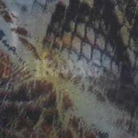 Фольга переводная Формула Профи (6 х 12 см)