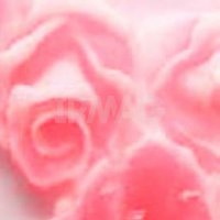 Дизайн для ногтей Формула Профи Розы Силиконовые (10 шт)