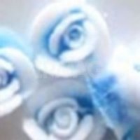 Дизайн для ногтей Формула Профи Розы Силиконовые (10 шт)