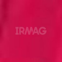 Помада для губ Wet'n Wild Silk Finish Lipstick (3.6 г)