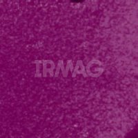 Помада для губ Wet'n Wild Mega Last Matte Lip Color (3,6 г)