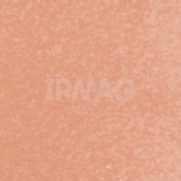 Помада для губ Wet'n Wild Mega Last Matte Lip Color (3,6 г)