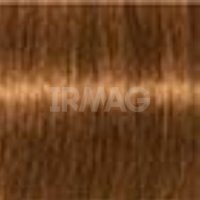 Краска для волос Schwarzkopf Igora Royal TBH True Beautiful Honest (60 мл)