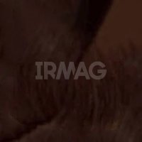 Крем-краска для волос Estel Professional De Luxe Silver для седых волос (60 мл)