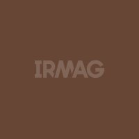 Карандаш для бровей Catrice Slim'Matic Ultra Precise водостойкий (4 г)