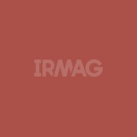 Блеск для губ Catrice Plump It Up Lip Booster с эффектом увеличения объема (3,5 мл)