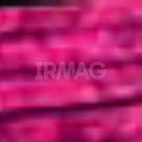 №2519 Розовый