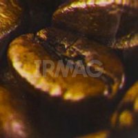 Сменный баллон для освежителя воздуха До-Ре-Ми Premium (250 мл)