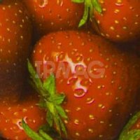 Сменный баллон для освежителя воздуха До-Ре-Ми Premium (250 мл)