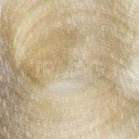 10.31 Бежевый платиновый блонд