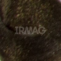 6.0 Тёмный блонд