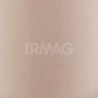 Консилер Essence Camouflage+matt Матирующий (5 мл)