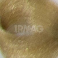 10.0 Платиновый блонд