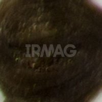 7.07 Насыщенный Холодный Блонд