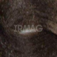 5.85 светло-коричневый махагон