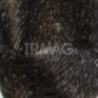 5.1 Светлый пепельно-коричневый