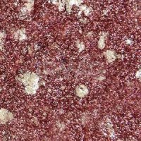 Тени для век Catrice Art Couleurs Eyeshadow (2,4 г)