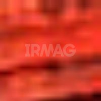 Лента для дизайна ногтей RuNail Professional самоклеющаяся (20 м)