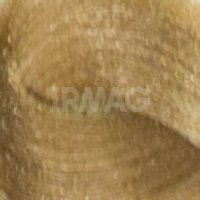 7.31 Светлый табак