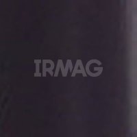 1834 Пряная слива