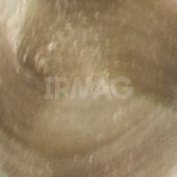 10.1 Пепельный платиновый блонд