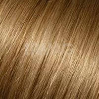 9.31 Очень светлый блонд золотистый бежевый