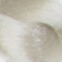 901 Суперосветлый пепельный блонд