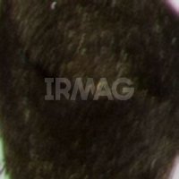 6.07 Насыщенный холодный темный блонд