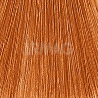 8/43 Светлый блондин медно-золотистый