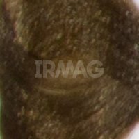 7.03 Тёплый блонд