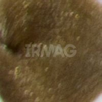 8.0 Светлый блонд