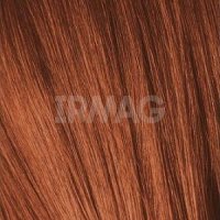 Крем-краска для волос Schwarzkopf Igora Royal (60 мл)