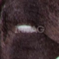 4.5 Темный махагон