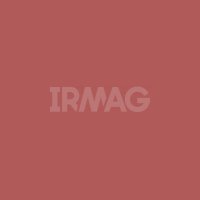 Губная помада L'Oreal Color Riche Увлажняющая матовая (1,8 мл)